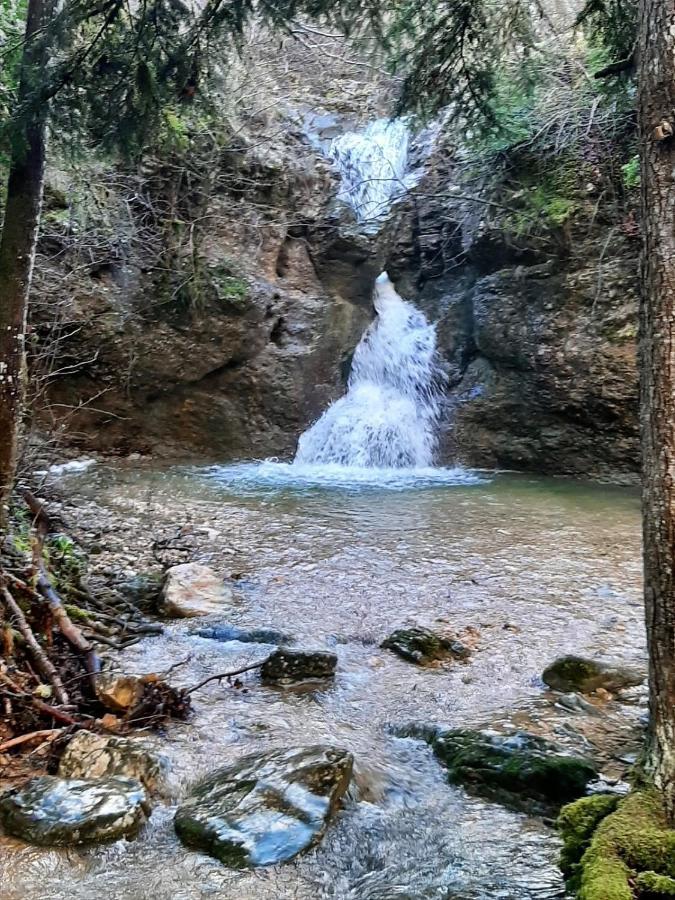 Le Clos Marie Brenod Εξωτερικό φωτογραφία